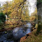 Lejlighed In Ruhiger Waldrandlage Bad Wildbad