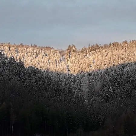 In Ruhiger Waldrandlage Bad Wildbad