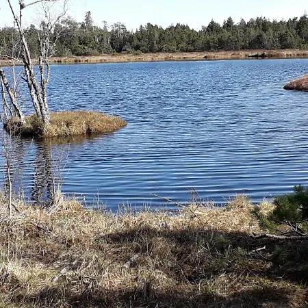 In Ruhiger Waldrandlage * באד ווילבאד