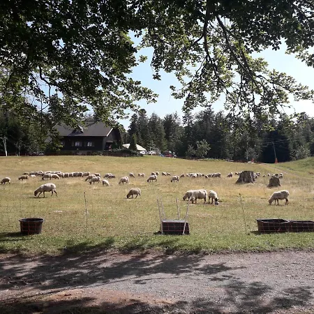 Appartamento In Ruhiger Waldrandlage Bad Wildbad