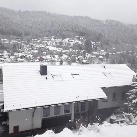 In Ruhiger Waldrandlage Apartment Bad Wildbad