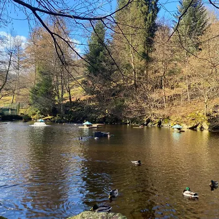 In Ruhiger Waldrandlage