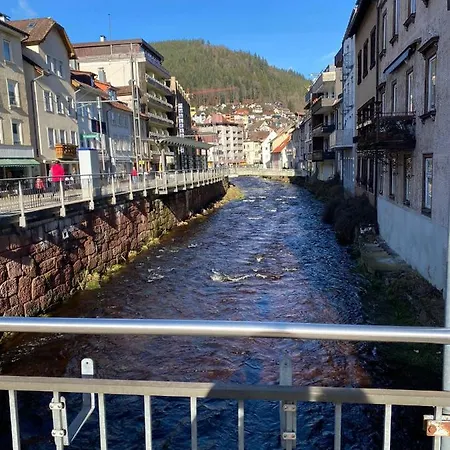 In Ruhiger Waldrandlage Lejlighed Bad Wildbad