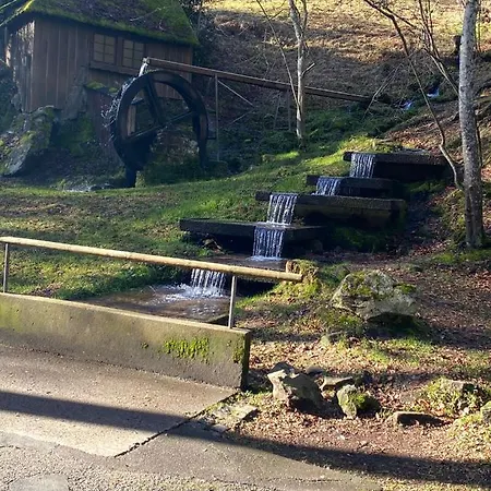 In Ruhiger Waldrandlage *