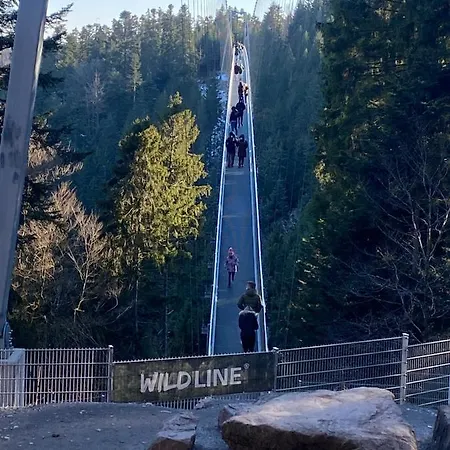 Appartamento In Ruhiger Waldrandlage Bad Wildbad