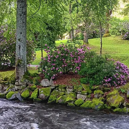 In Ruhiger Waldrandlage Apartamento