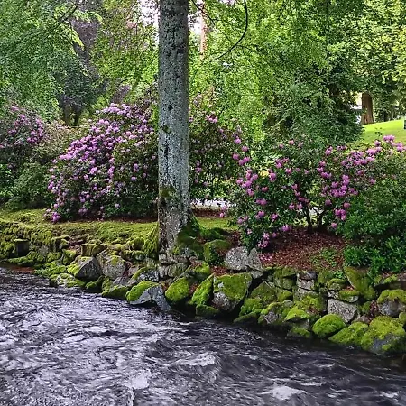 Lejlighed In Ruhiger Waldrandlage Bad Wildbad