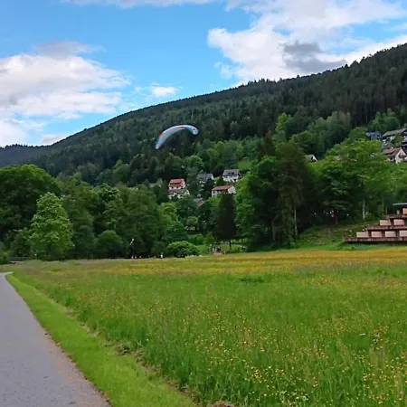 In Ruhiger Waldrandlage Bad Wildbad