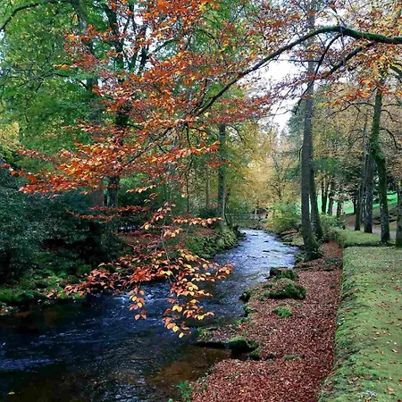 In Ruhiger Waldrandlage アパート *