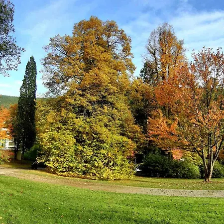 In Ruhiger Waldrandlage Apartment Bad Wildbad