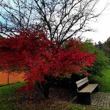 In Ruhiger Waldrandlage *