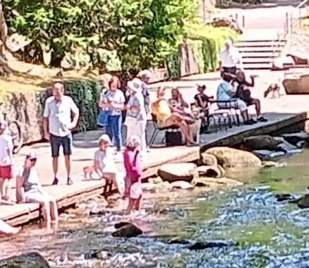 In Ruhiger Waldrandlage Bad Wildbad